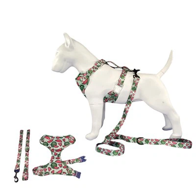 Söpöt pehmeät koiravaljaat