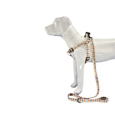 Suunniteltu painettu koiranvaljaat