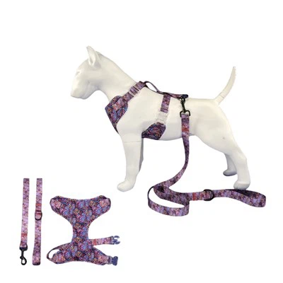 Koiran valjaat ja talutushihnasarja