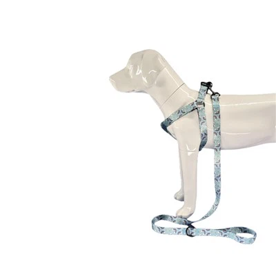 Koiran valjaat suurille koirille