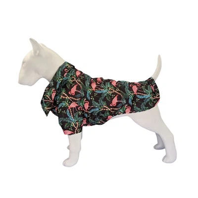 Flamingo koiran paidat