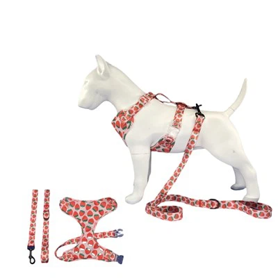 Tyttökoiran valjaat