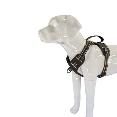 Heijastavat No Pull Dog -valjaat