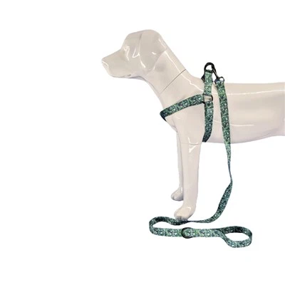 Trooppisen koiran valjaat