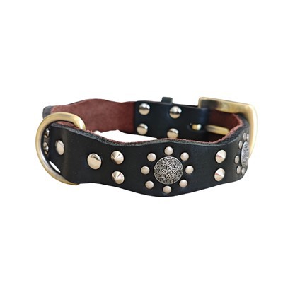 Klassinen nahkainen koiranpanta