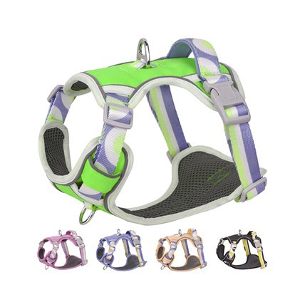 Mukautettu väri ilman vetoa säädettävät koiran valjaat