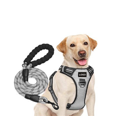 Mukautettu koiran valjaat ja koiran talutushihnasarja