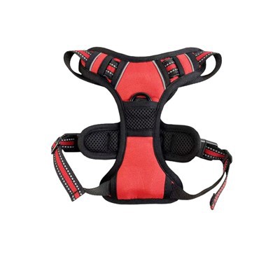 Dual Clip koiran valjaat