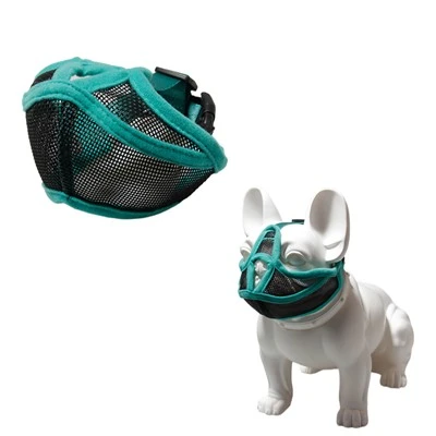 Ranskanbulldogin kuono
