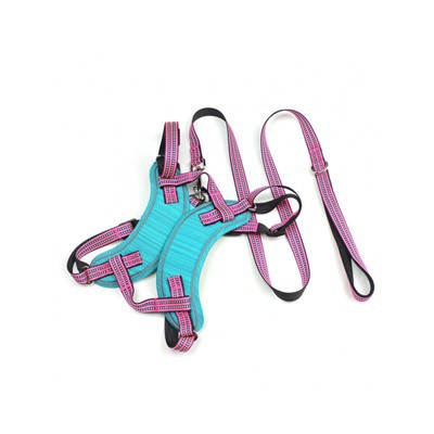 Ei vedettävä koiran valjaat ja talutushihnasarja