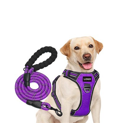 Henkilökohtainen logo Koiran valjaat ja köysi koiran hihnasarja